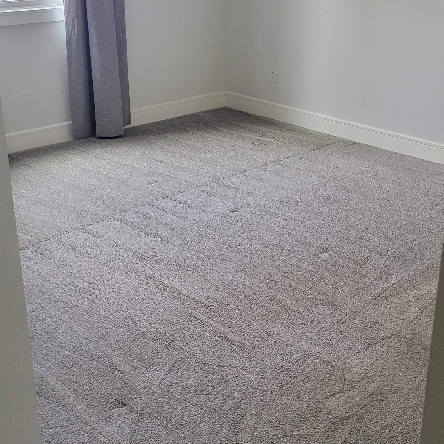 shot of a clean carpet in a well-lit environment shot of a clean carpet in a well-lit environment