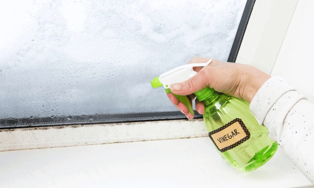 woman holding a vinegar cleaning solution in a spray bottle, spraying what appears to be a window