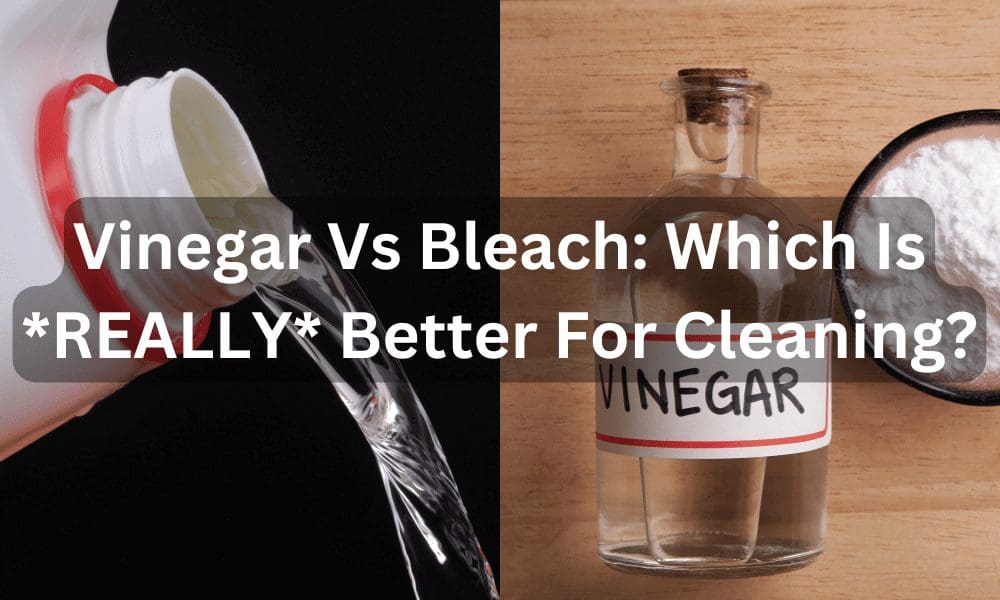 vinegar vs bleach which is better for cleaning image