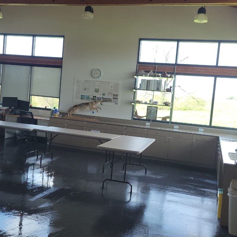 Cleaning class room floor and tables in Dallas K-12 School Cleaning class room floor and tables in Dallas K-12 School