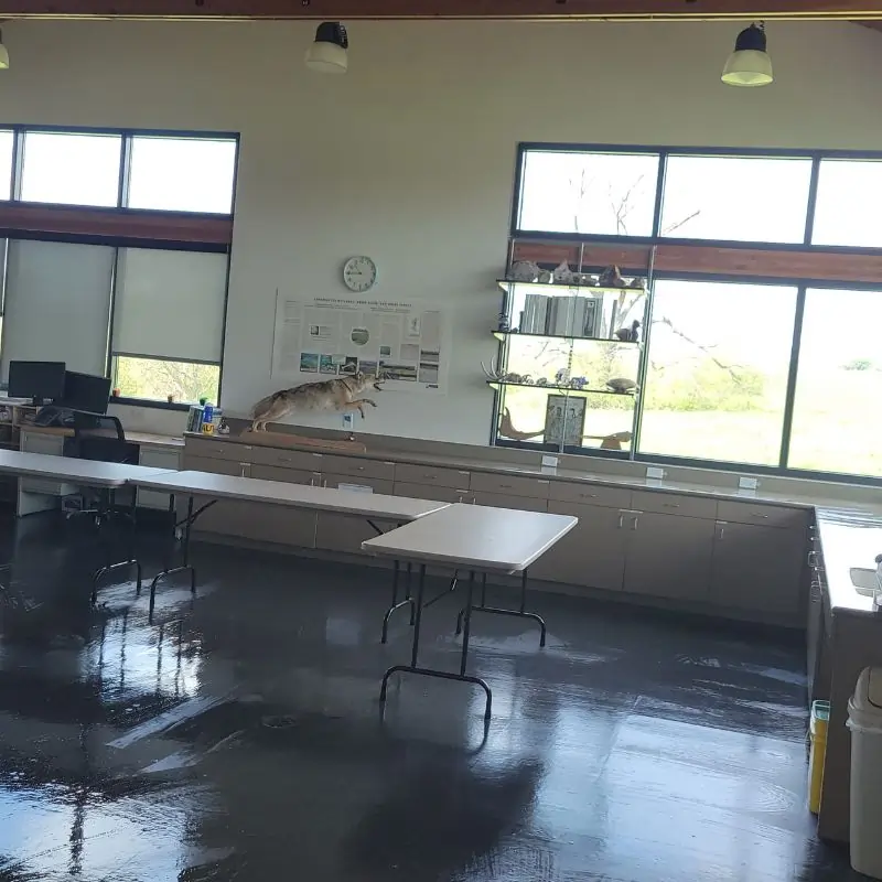 Cleaning class room floor and tables in Arlington K-12 School